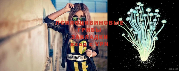 соль ск Балахна
