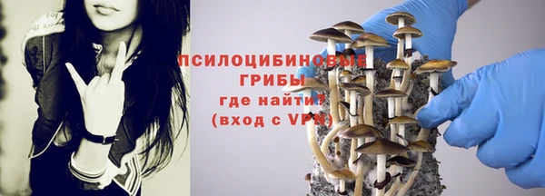 соль ск Балахна