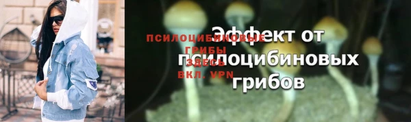соль ск Балахна