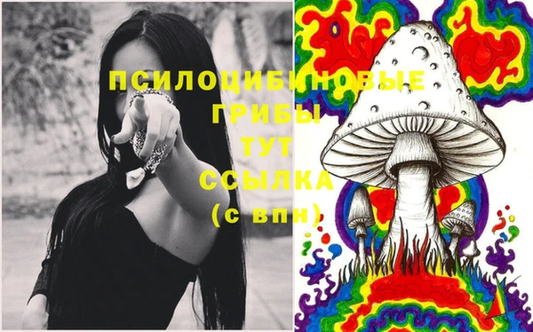 стаф Балабаново