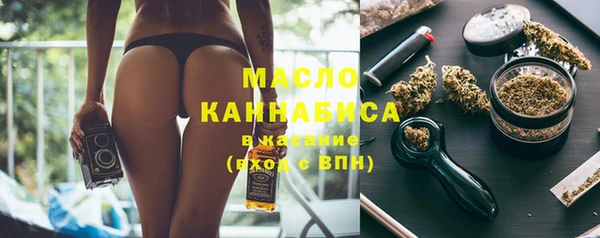 индика Волоколамск